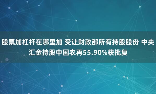 股票加杠杆在哪里加 受让财政部所有持股股份 中央汇金持股中国农再55.90%获批复