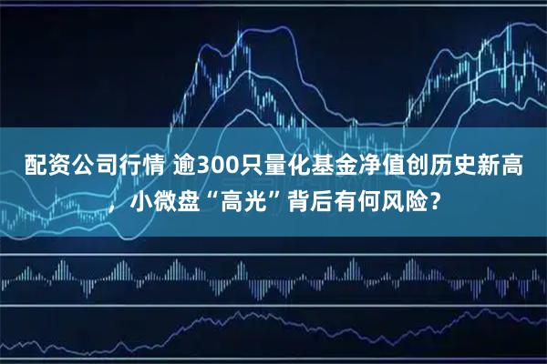 配资公司行情 逾300只量化基金净值创历史新高，小微盘“高光”背后有何风险？