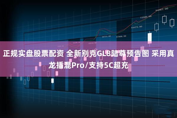 正规实盘股票配资 全新别克GL8陆尊预告图 采用真龙插混Pro/支持5C超充