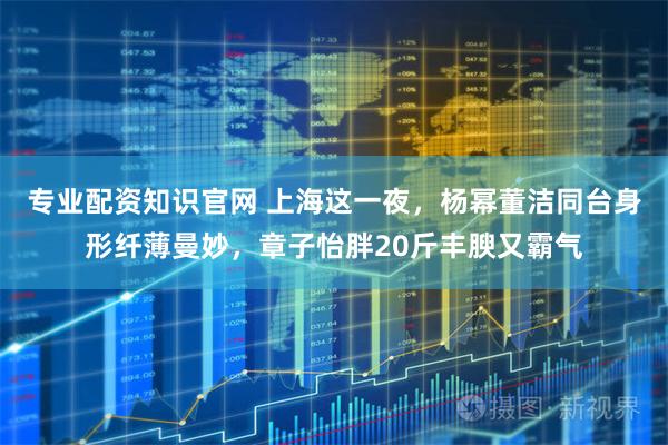 专业配资知识官网 上海这一夜，杨幂董洁同台身形纤薄曼妙，章子怡胖20斤丰腴又霸气